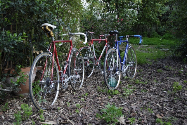 the bike's secret garden